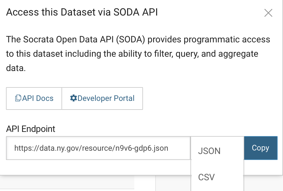 Screenshot of API options